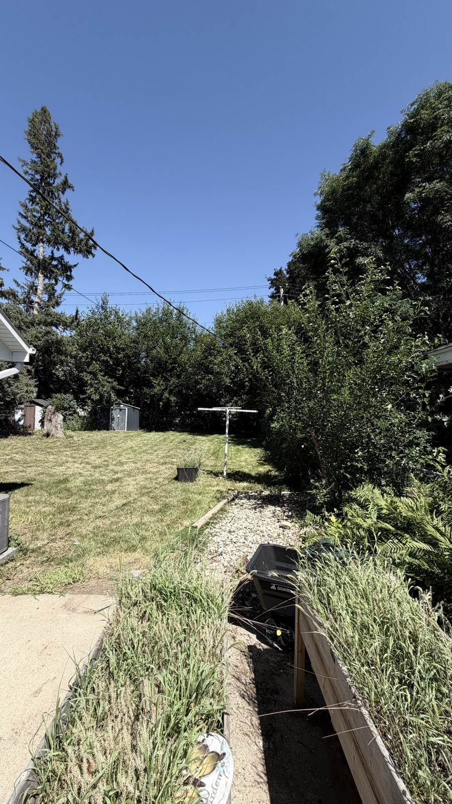 Back yard cleared — Consider It Done, Sioux Falls