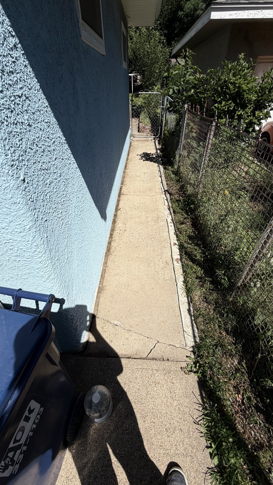 Side yard cleared — Consider It Done, Sioux Falls