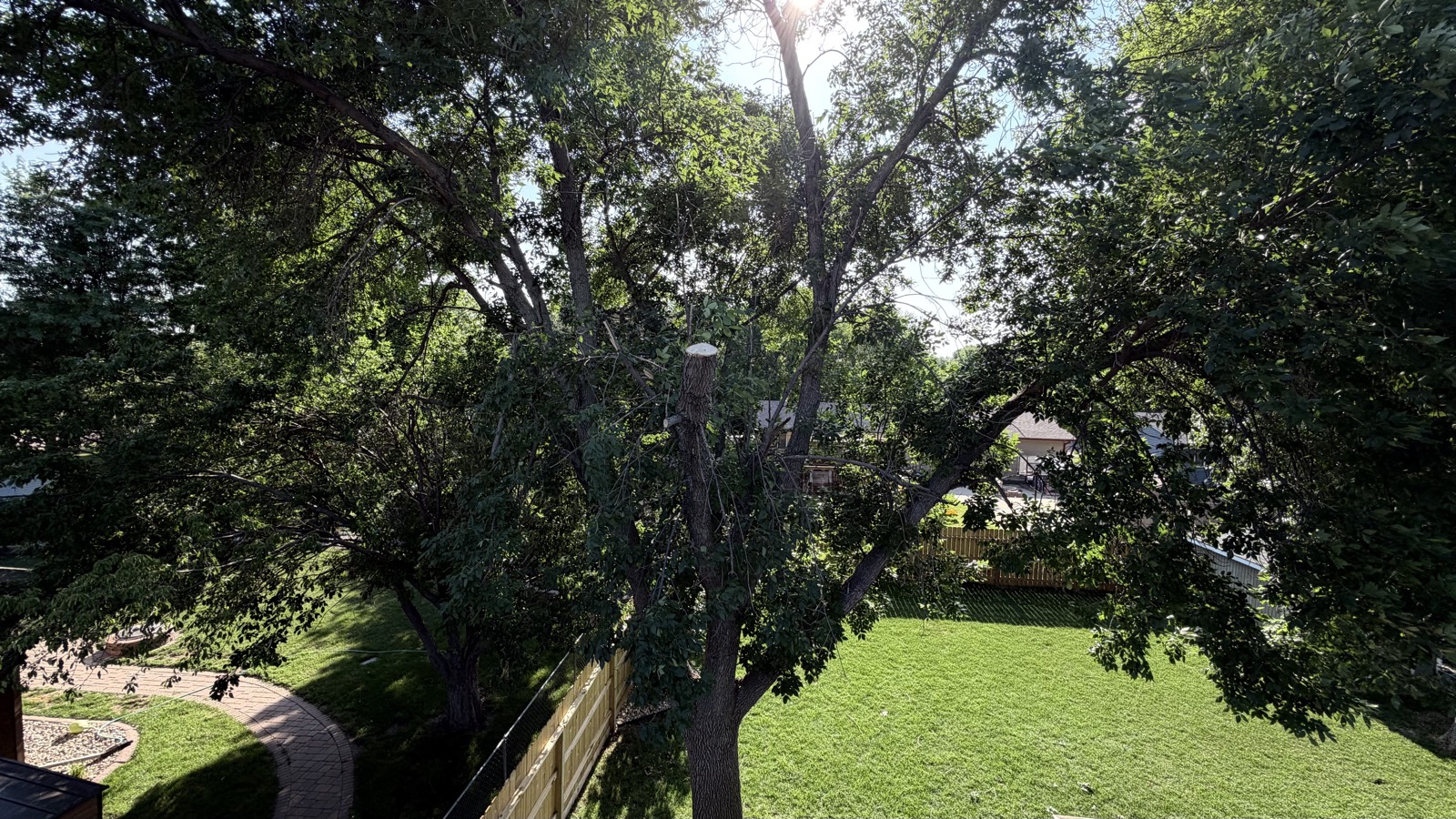 Branch clearance over yard — Consider It Done, Sioux Falls