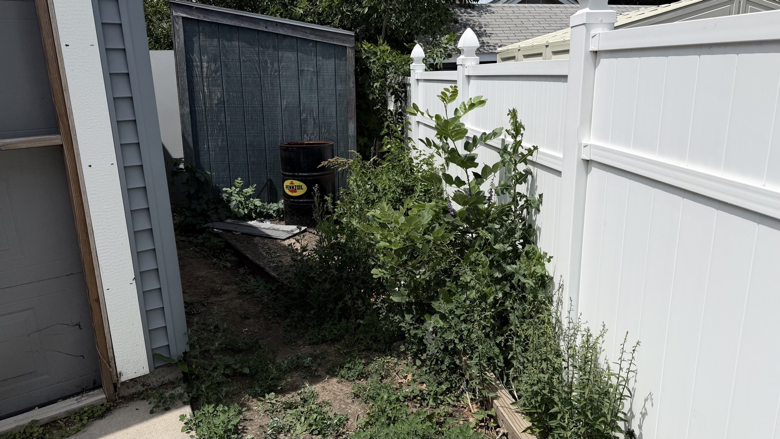 Fence line overgrowth before — Consider It Done, Sioux Falls