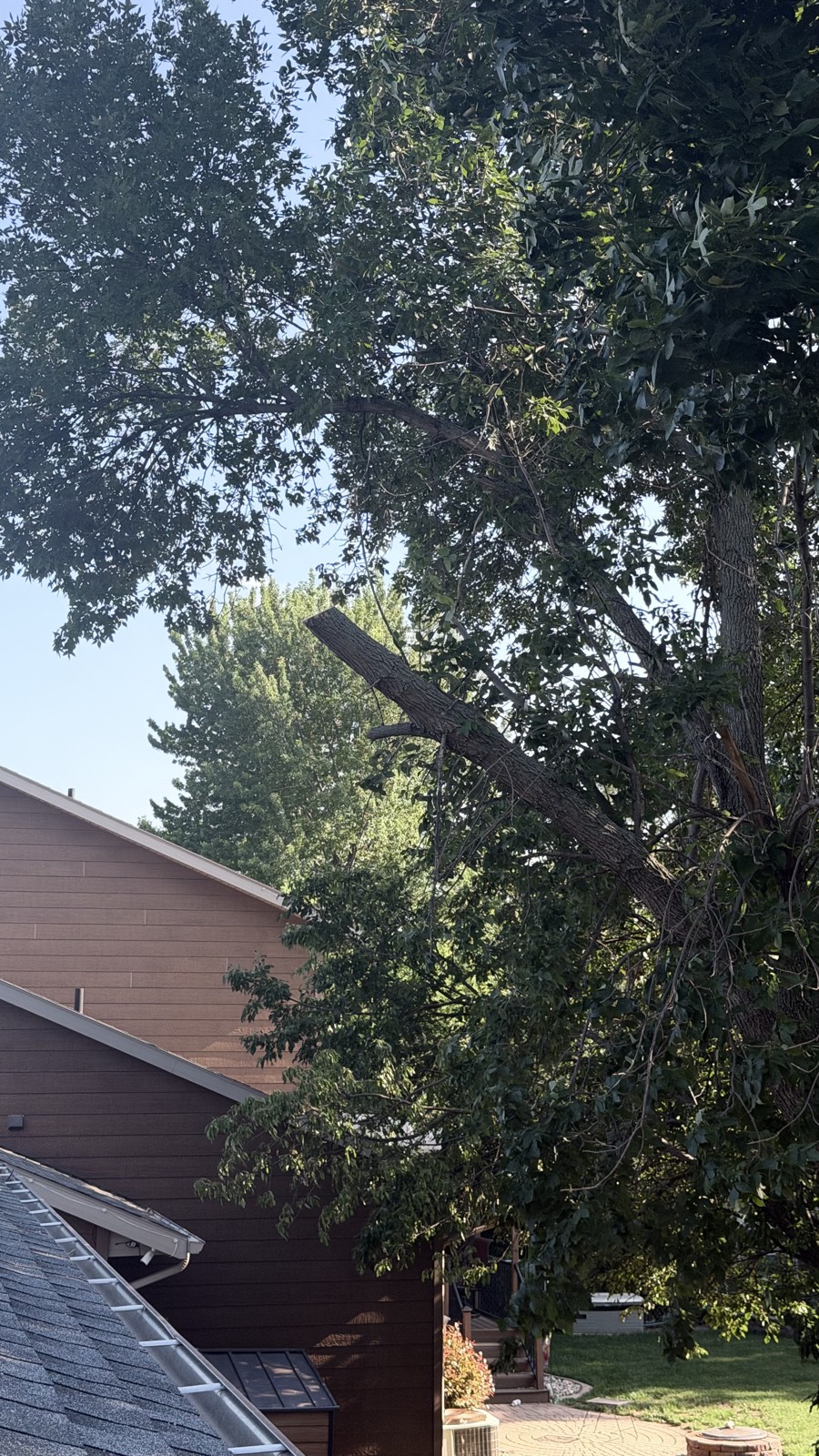 Large branch removal — Consider It Done, Sioux Falls