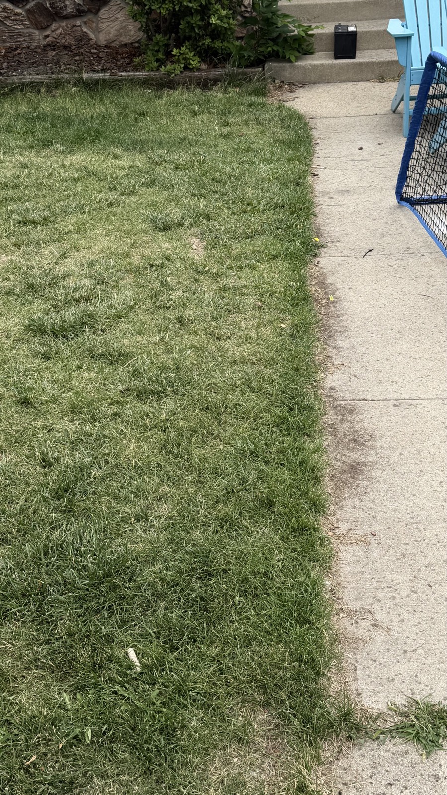 Mowed lawn and edging — Consider It Done, Sioux Falls