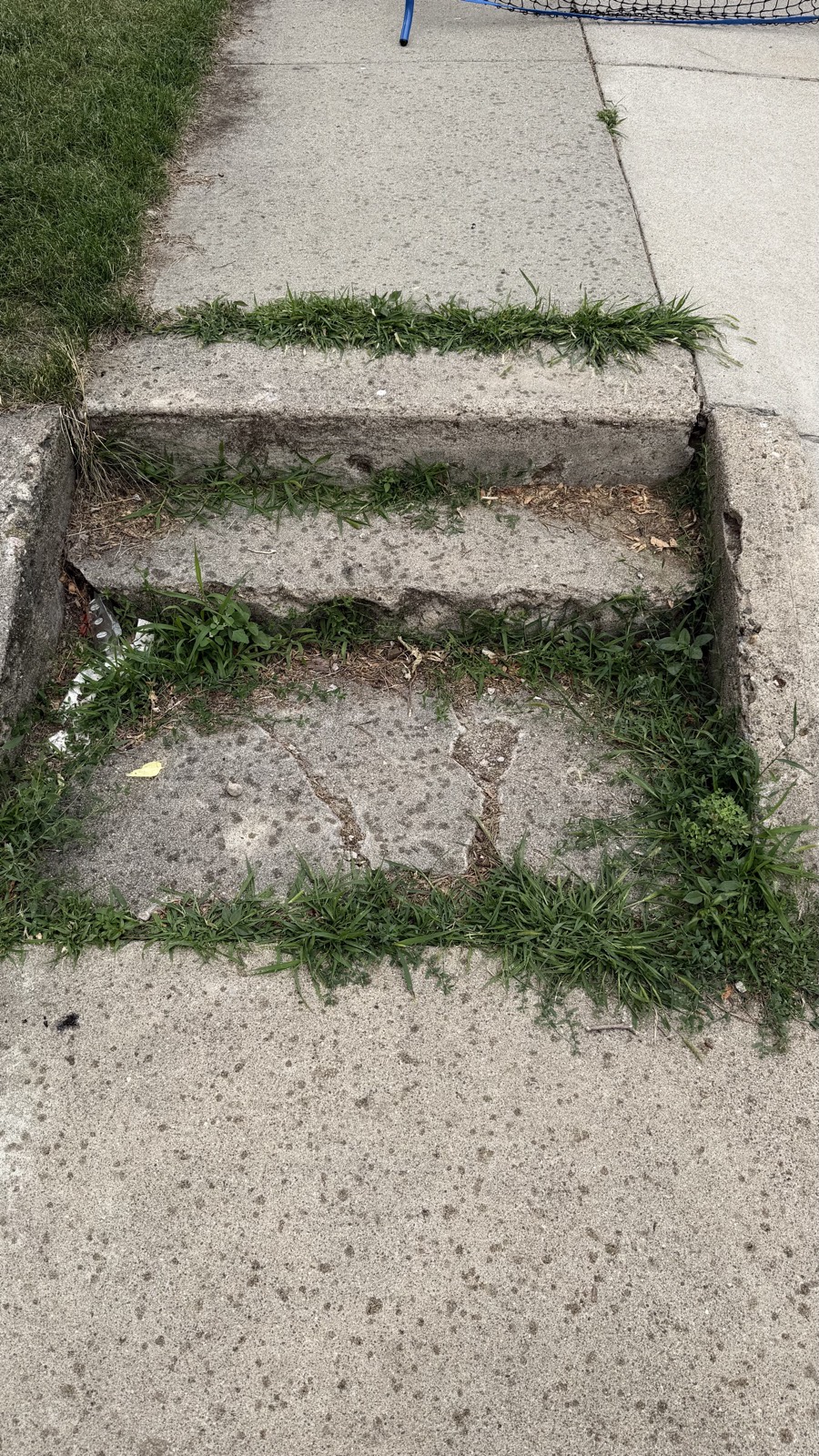 Overgrown steps before — Consider It Done, Sioux Falls