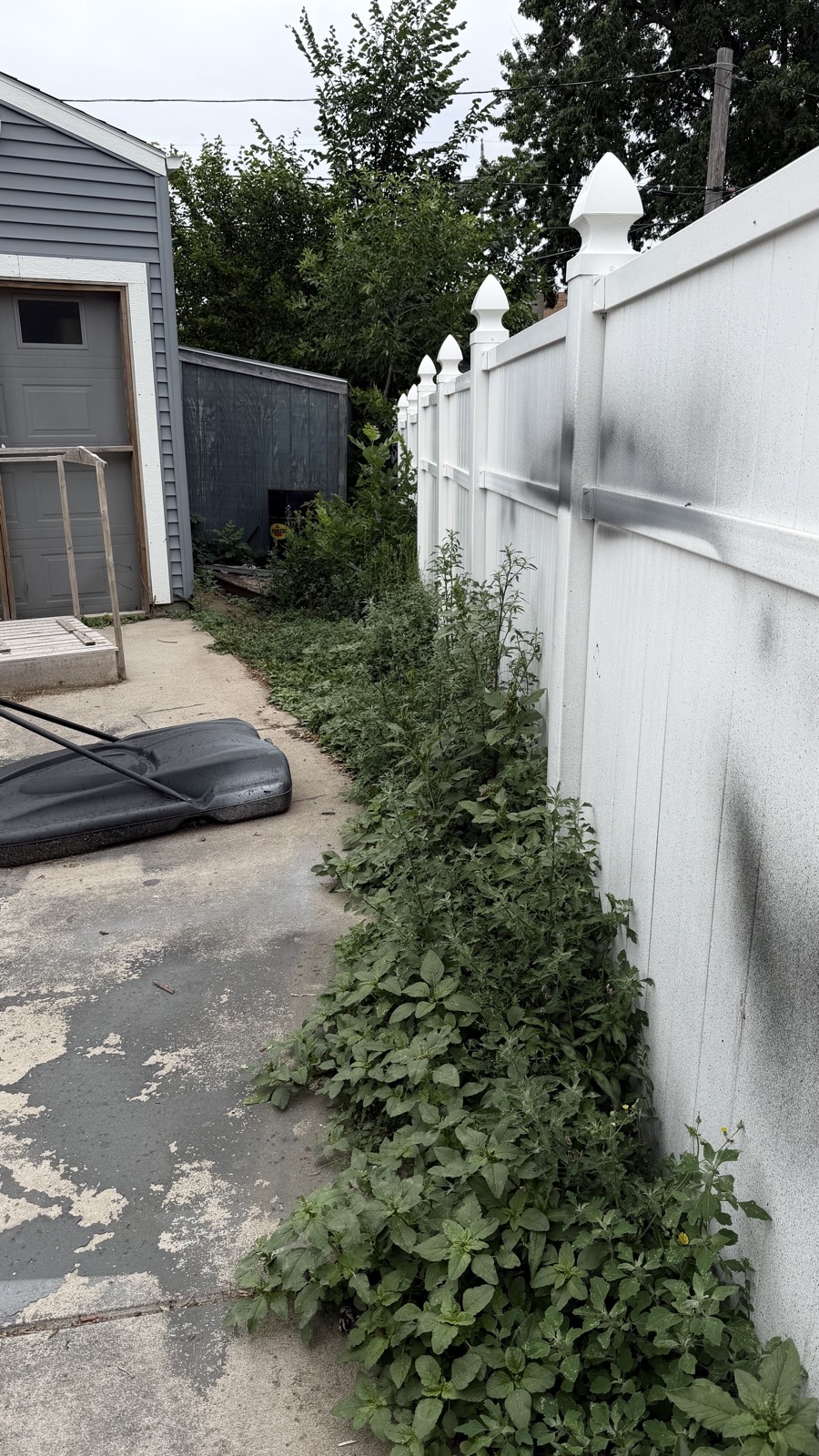 Side yard overgrowth before — Consider It Done, Sioux Falls