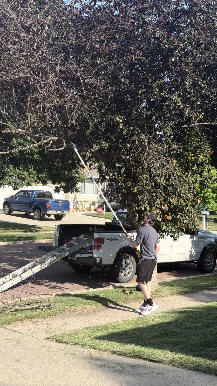 Tree trimming in progress — Consider It Done, Sioux Falls